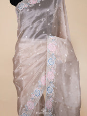 Champagne Gold Tissue Organza saree