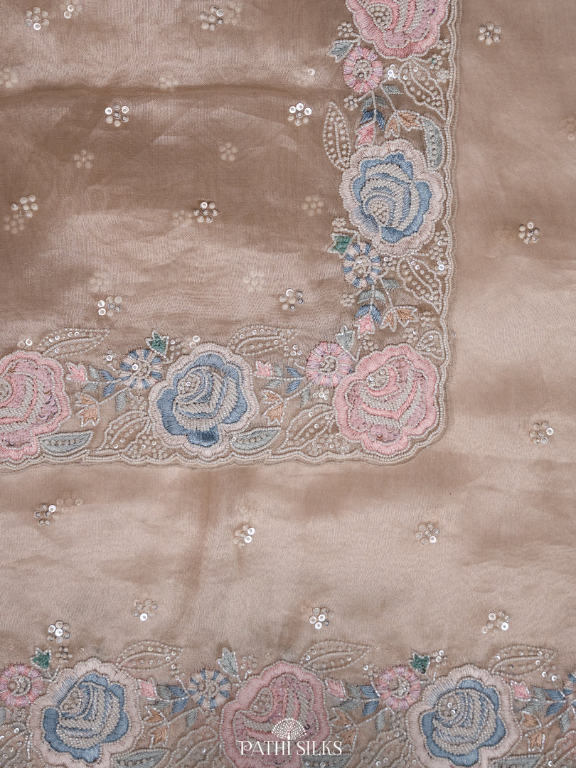 Champagne Gold Tissue Organza saree